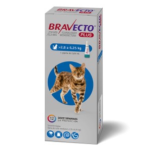 BRAVECTO PLUS GATO 2,8KG - 6,25KG (12 SEMANAS)