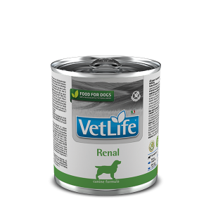 LATA VET LIFE DOG RENAL 300G