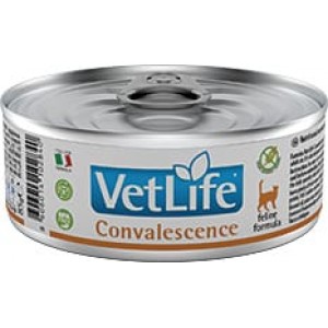 LATA VET LIFE CAT CONVALESCENCE 85G