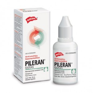 PILERAN